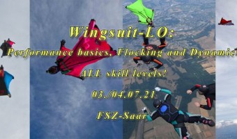 Wingsuit-LO Performance basics