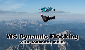 Wingsuit Dynamic Flocking