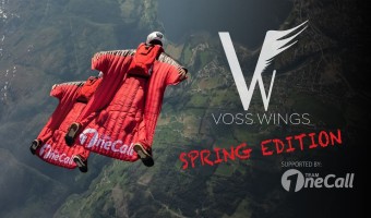 VossWings (spring edition)