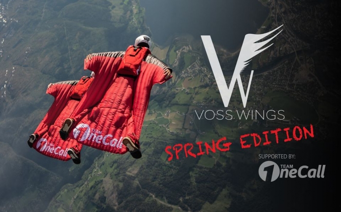 VossWings (spring edition)